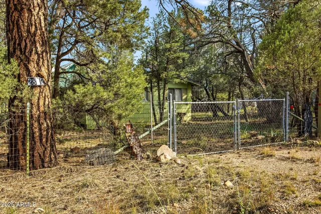 a view of a yard with plants