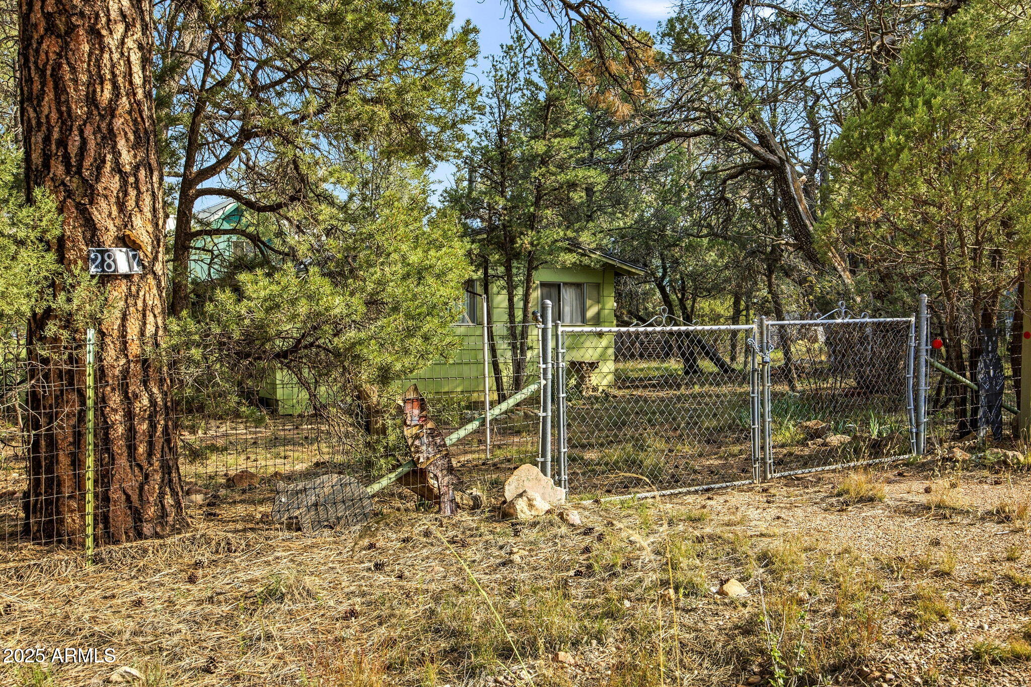 2887 Center Road Overgaard, AZ 85933 - Photo 23 of 31 a garden view