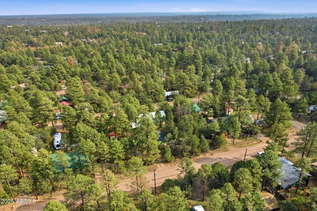 a view of a city with lush green forest