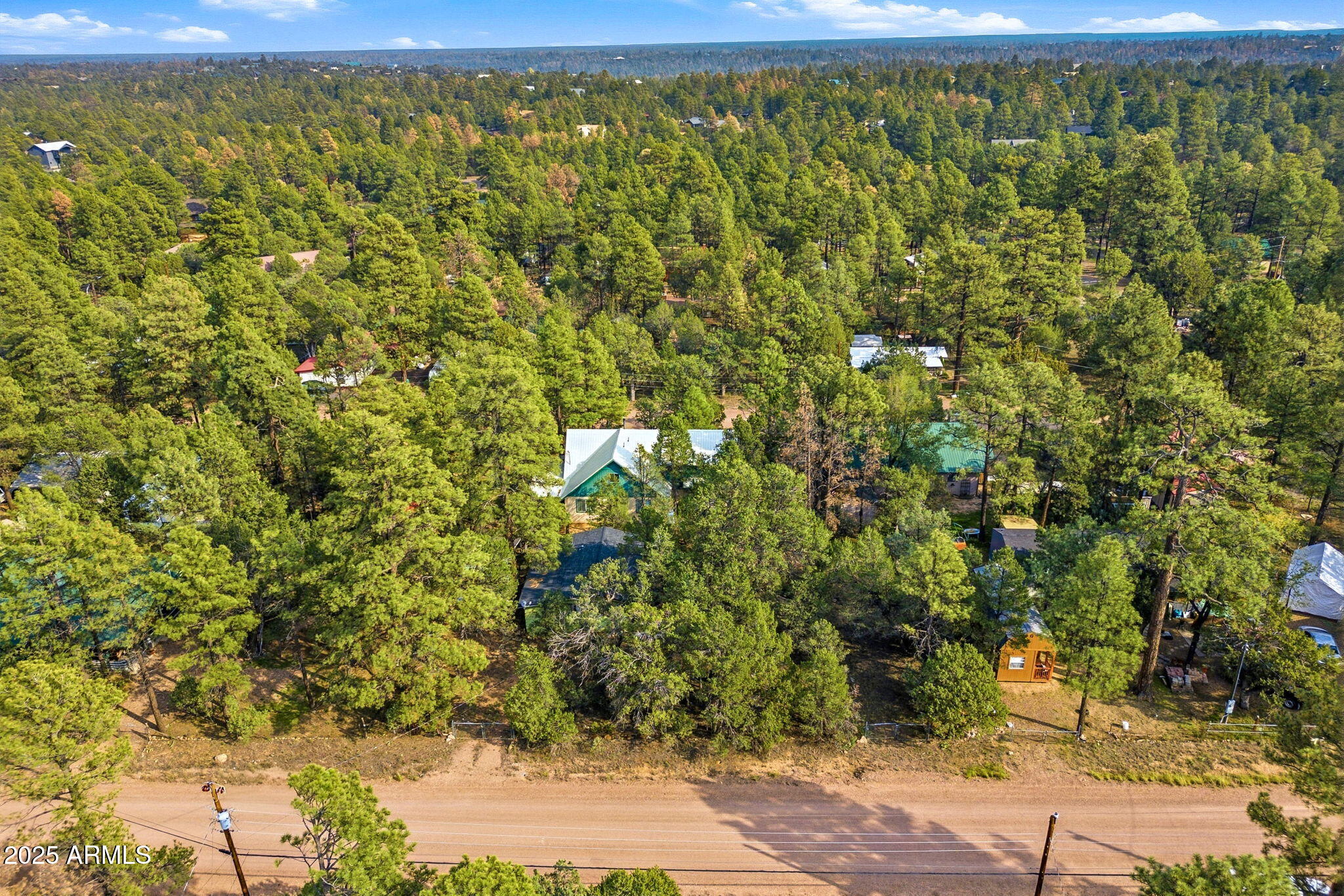 2887 Center Road Overgaard, AZ 85933 - Photo 25 of 31 a view of a yard with plants