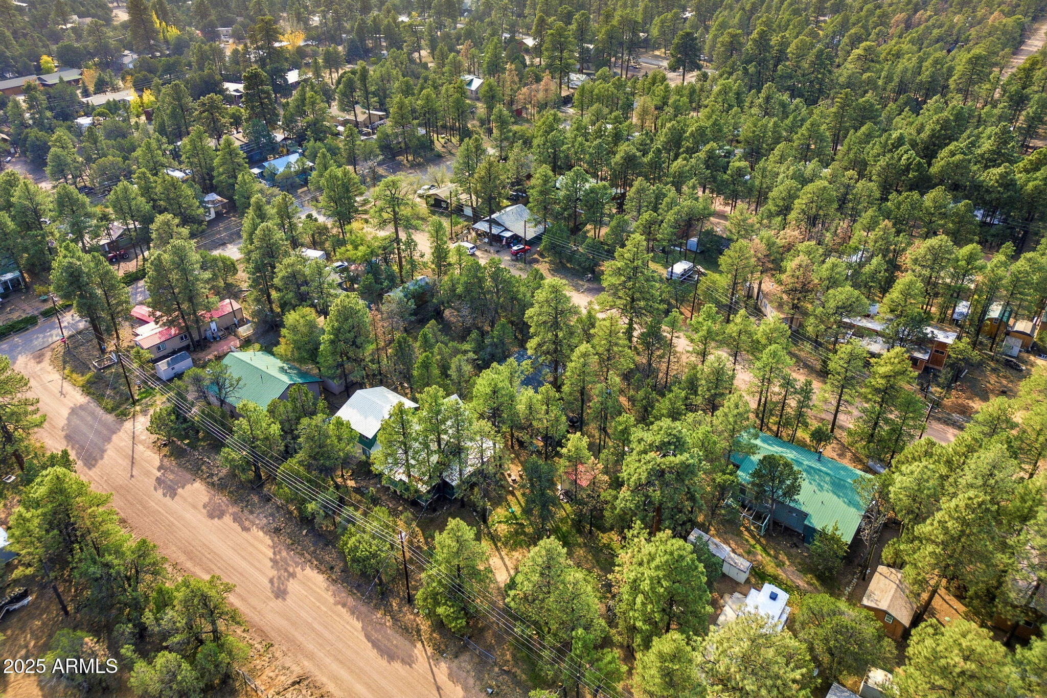 2887 Center Road Overgaard, AZ 85933 - Photo 29 of 31 a view of a tree