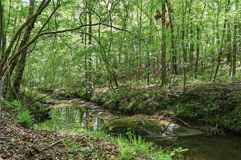 314 Coady Road Jackson, GA 30233 - Photo 26 of 31 a view of a lush green forest with lots of trees
