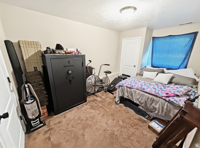 1324 West Raintree Drive Price, UT 84501 - Photo 27 of 53