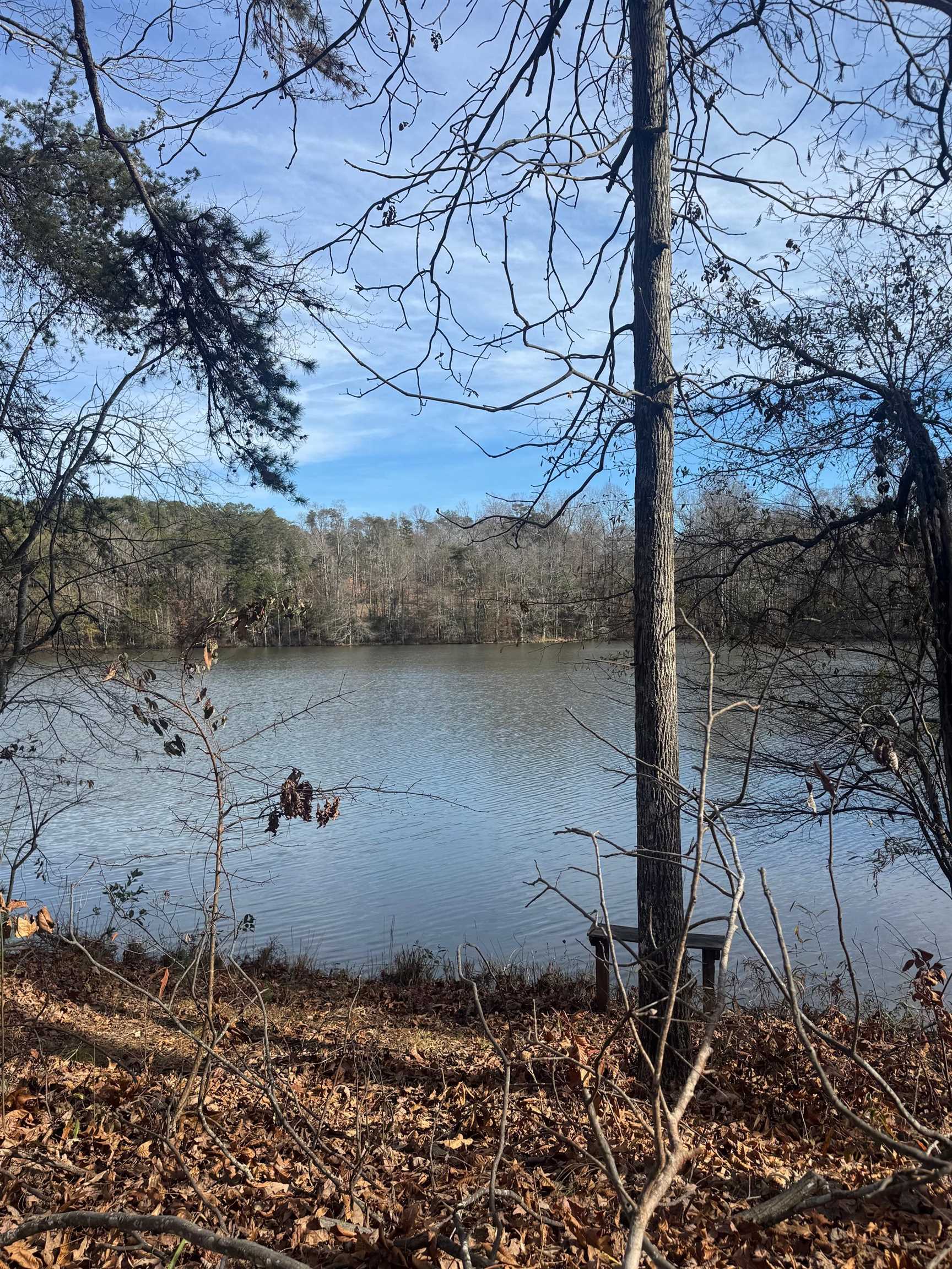 1281 River Oak Road Inman, SC 29349 - Photo 5 of 6