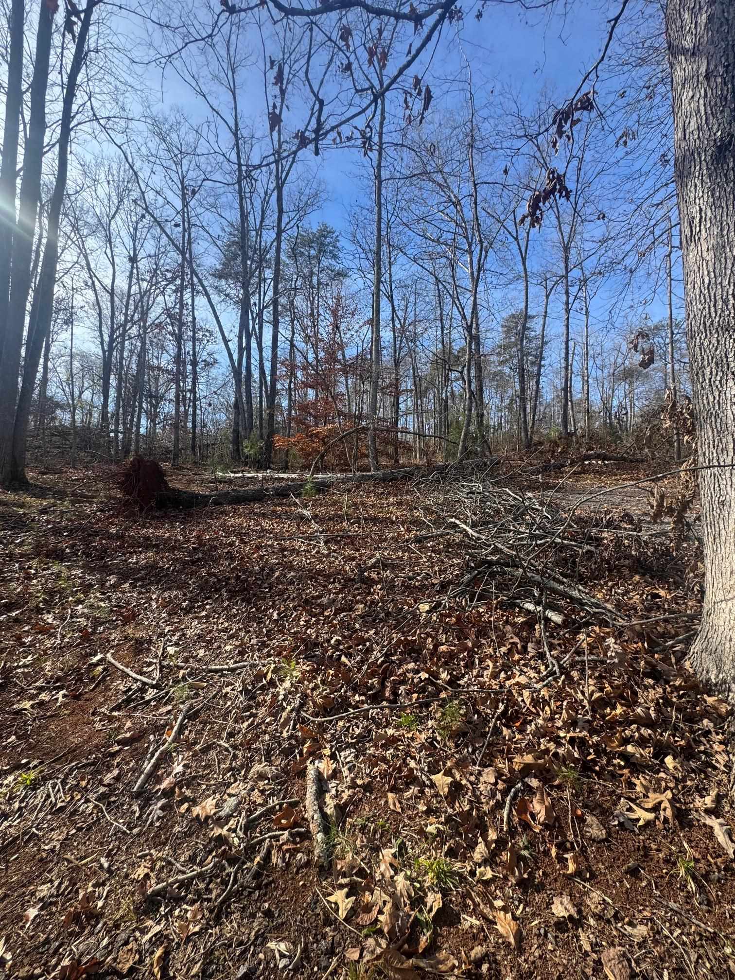 1281 River Oak Road Inman, SC 29349 - Photo 6 of 6