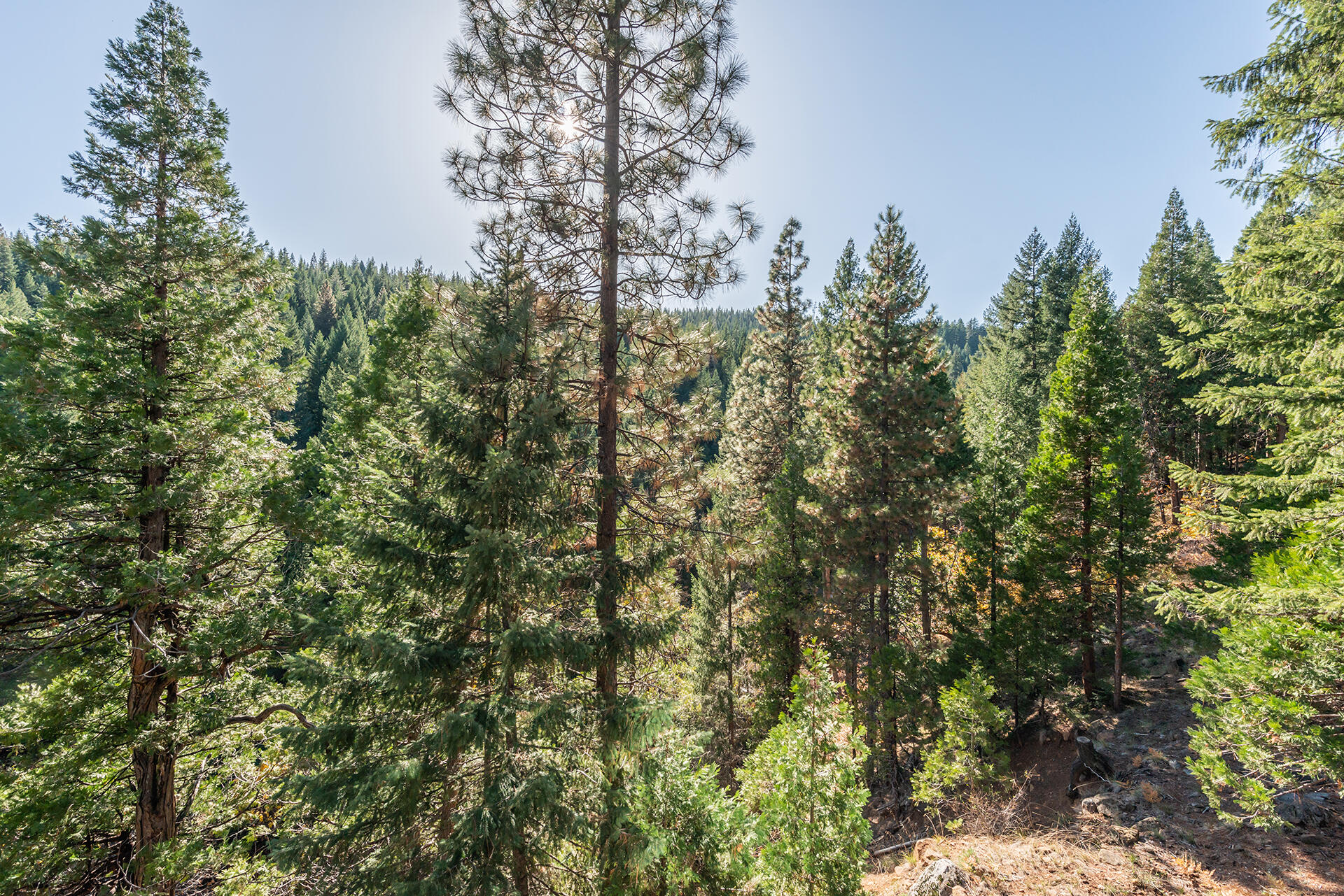 851 Mountain Aire Road Trinity Center, CA 96091 - Photo 26 of 50 Views