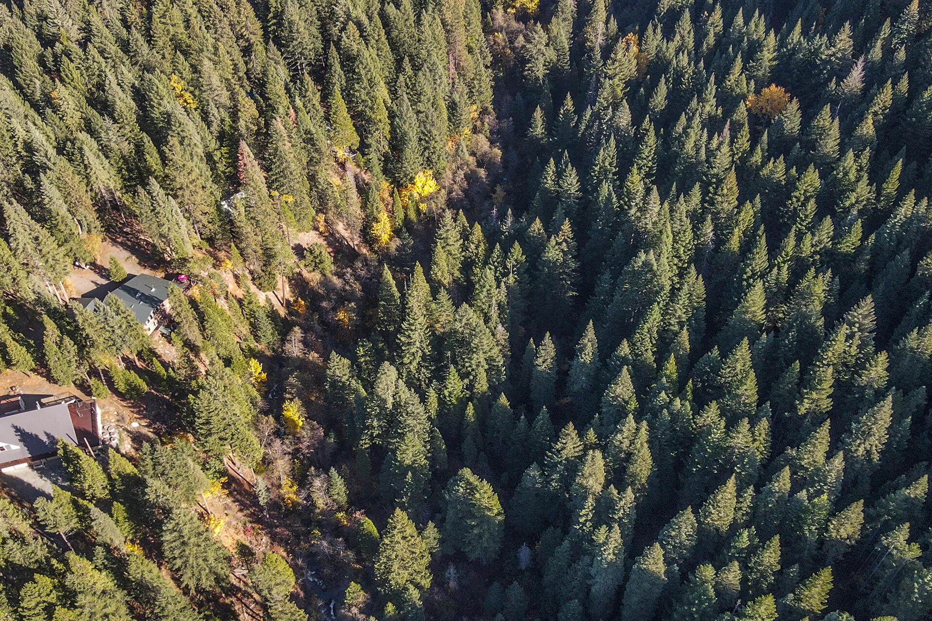851 Mountain Aire Road Trinity Center, CA 96091 - Photo 47 of 50 Aerial and above the creek
