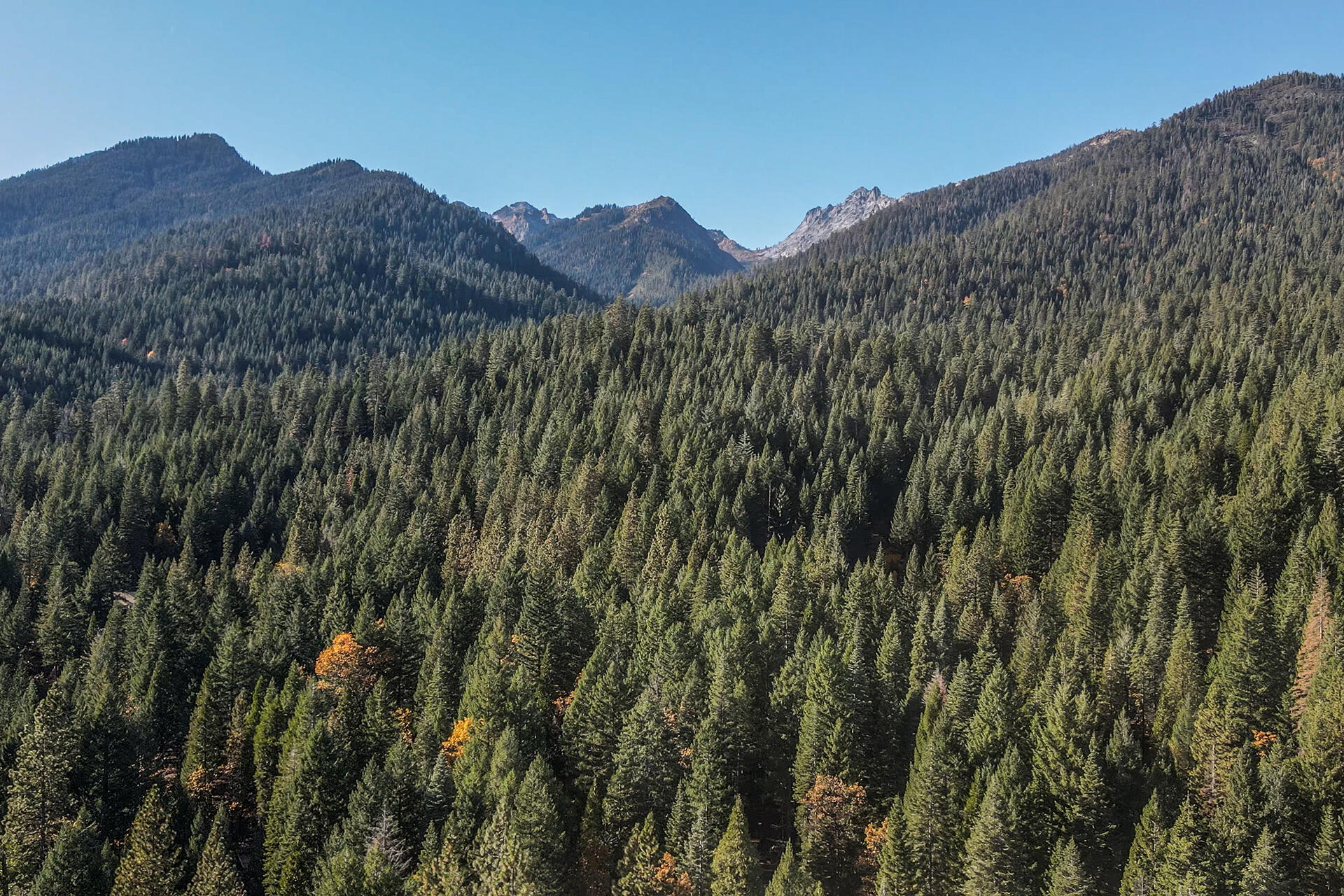 851 Mountain Aire Road Trinity Center, CA 96091 - Photo 48 of 50 Trinity Alps behind the home