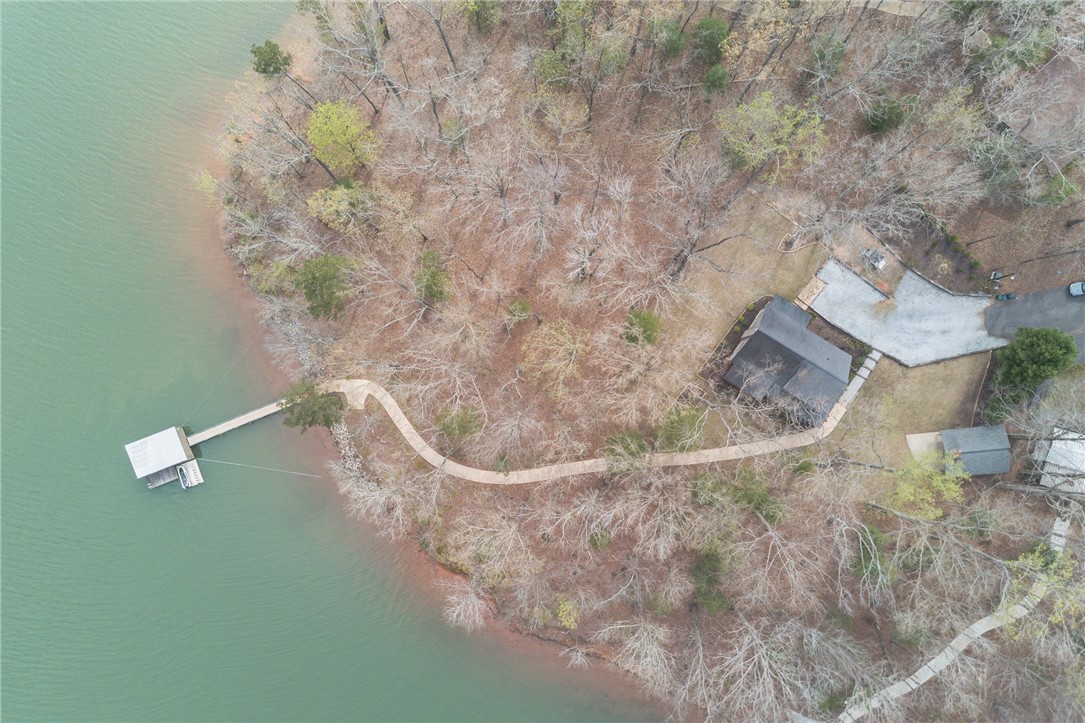 329 Hopkins Road Townville, SC 29689 - Photo 6 of 37 Phenomenal point lot with 274 feet of water fronta