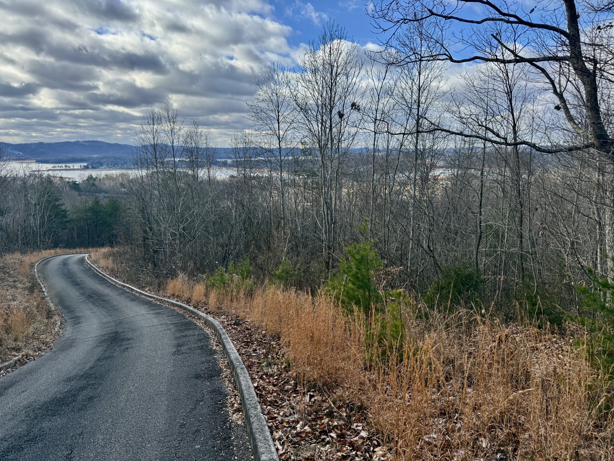 a view of a lake with a yard