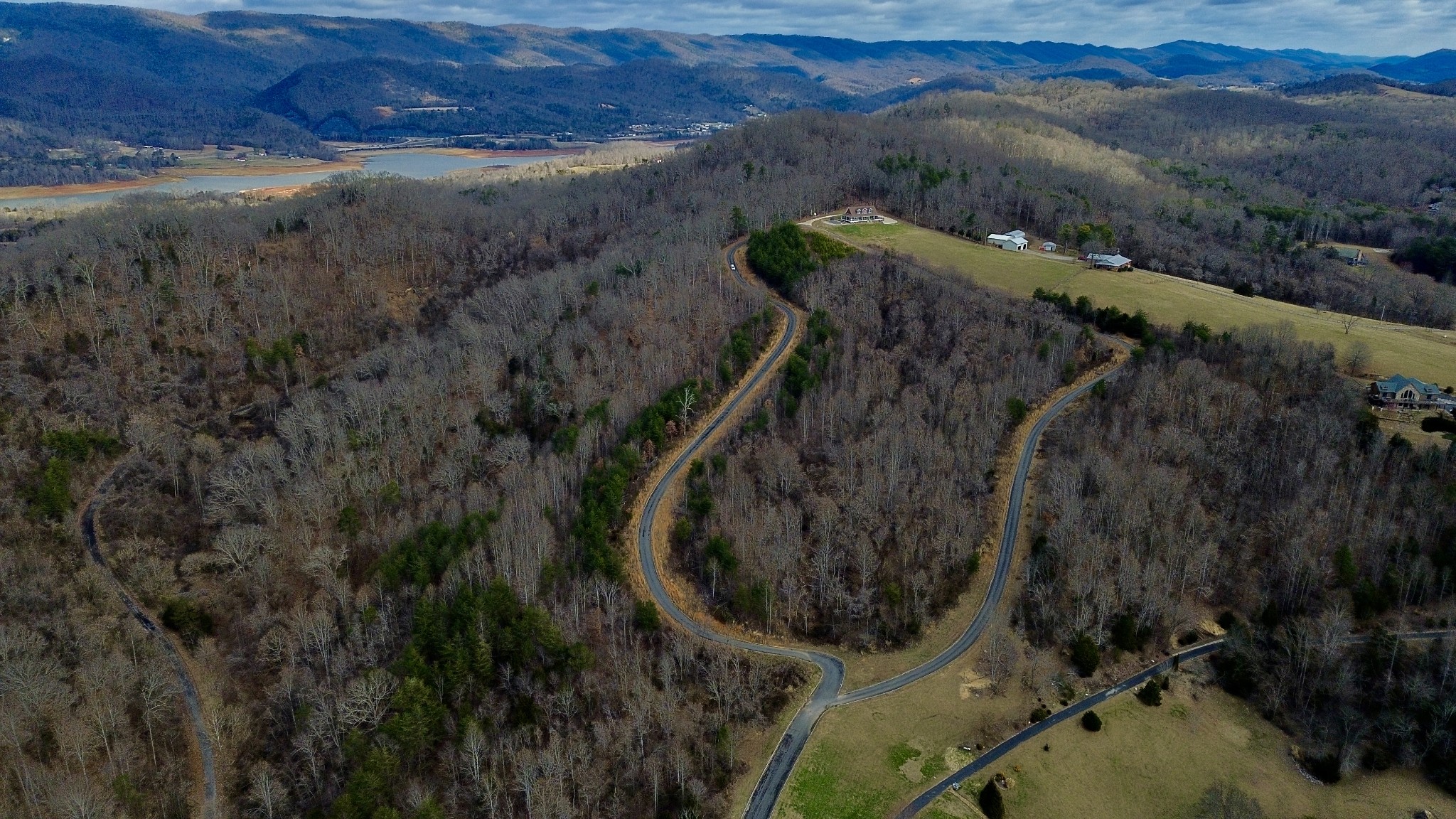 1 Megans Trail Bean Station, TN 37708 - Photo 2 of 8 a view of a forest with a yard