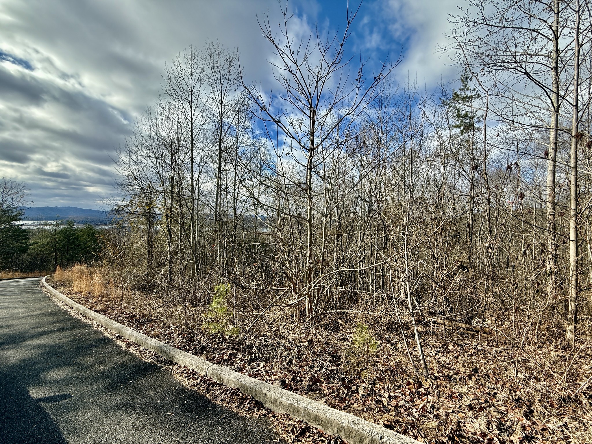 1 Megans Trail Bean Station, TN 37708 - Photo 3 of 8