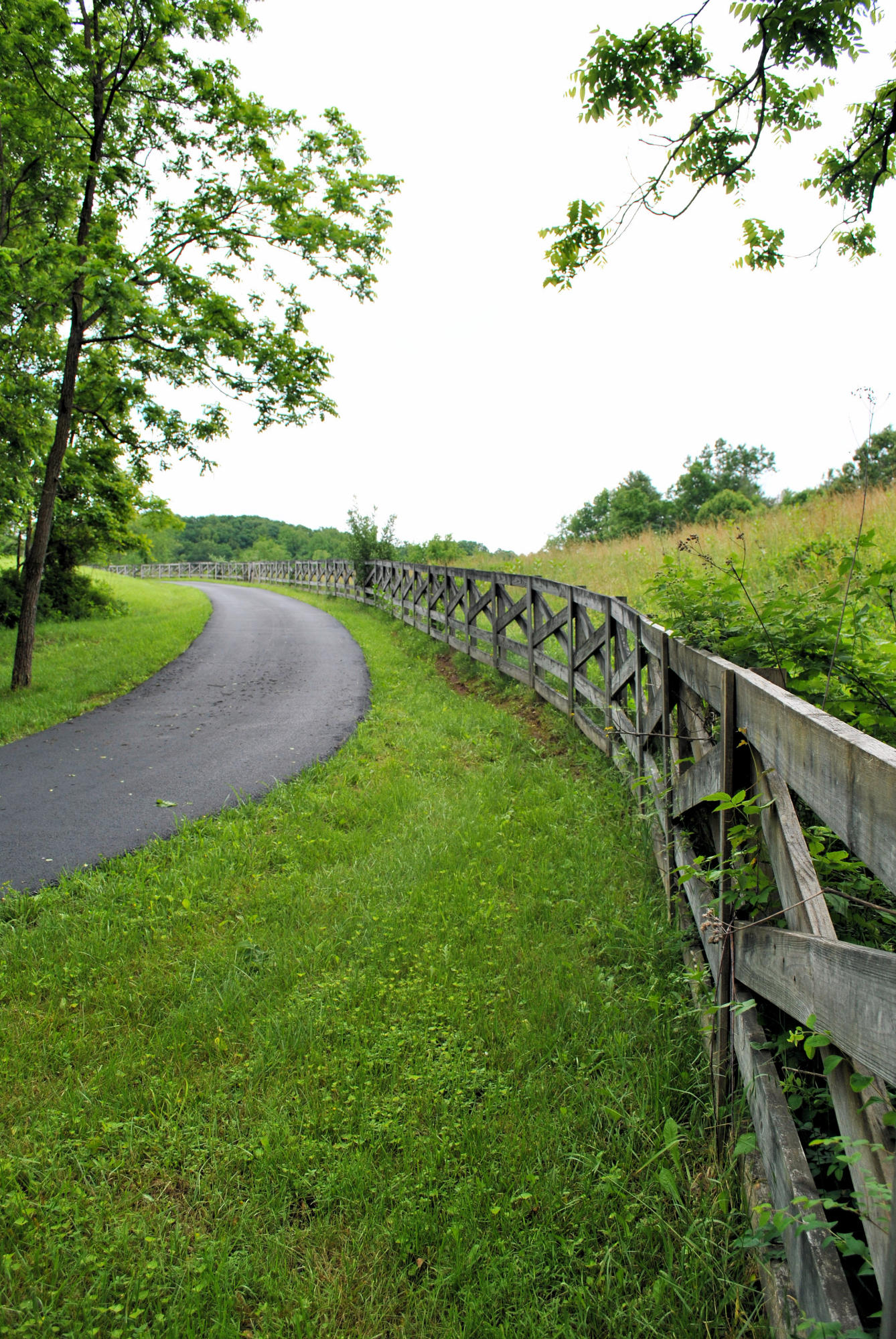 240 Fawn Lane Riner, VA 24149 - Photo 5 of 95 Fenced Pasture