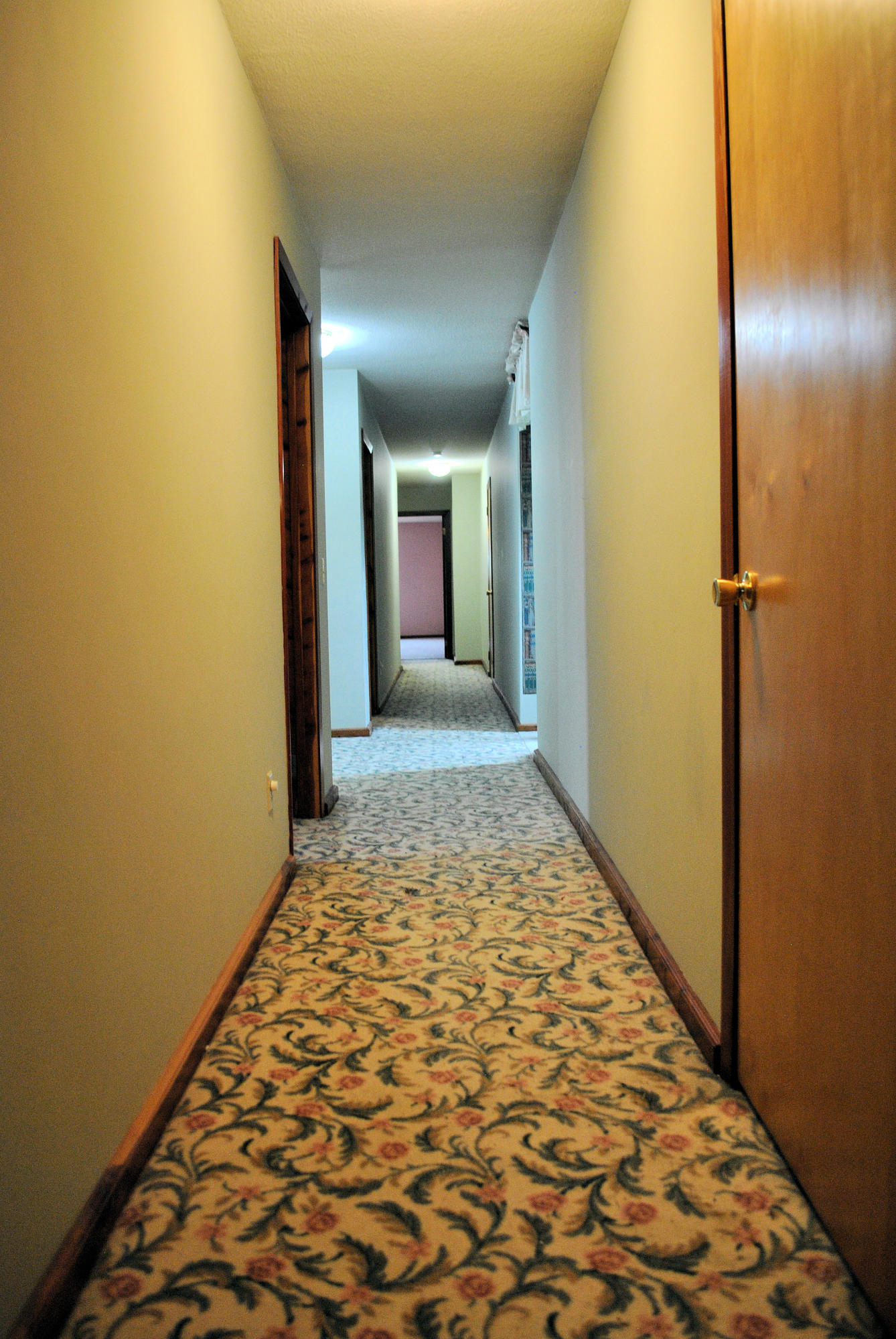 240 Fawn Lane Riner, VA 24149 - Photo 49 of 95 Upstairs Hallway