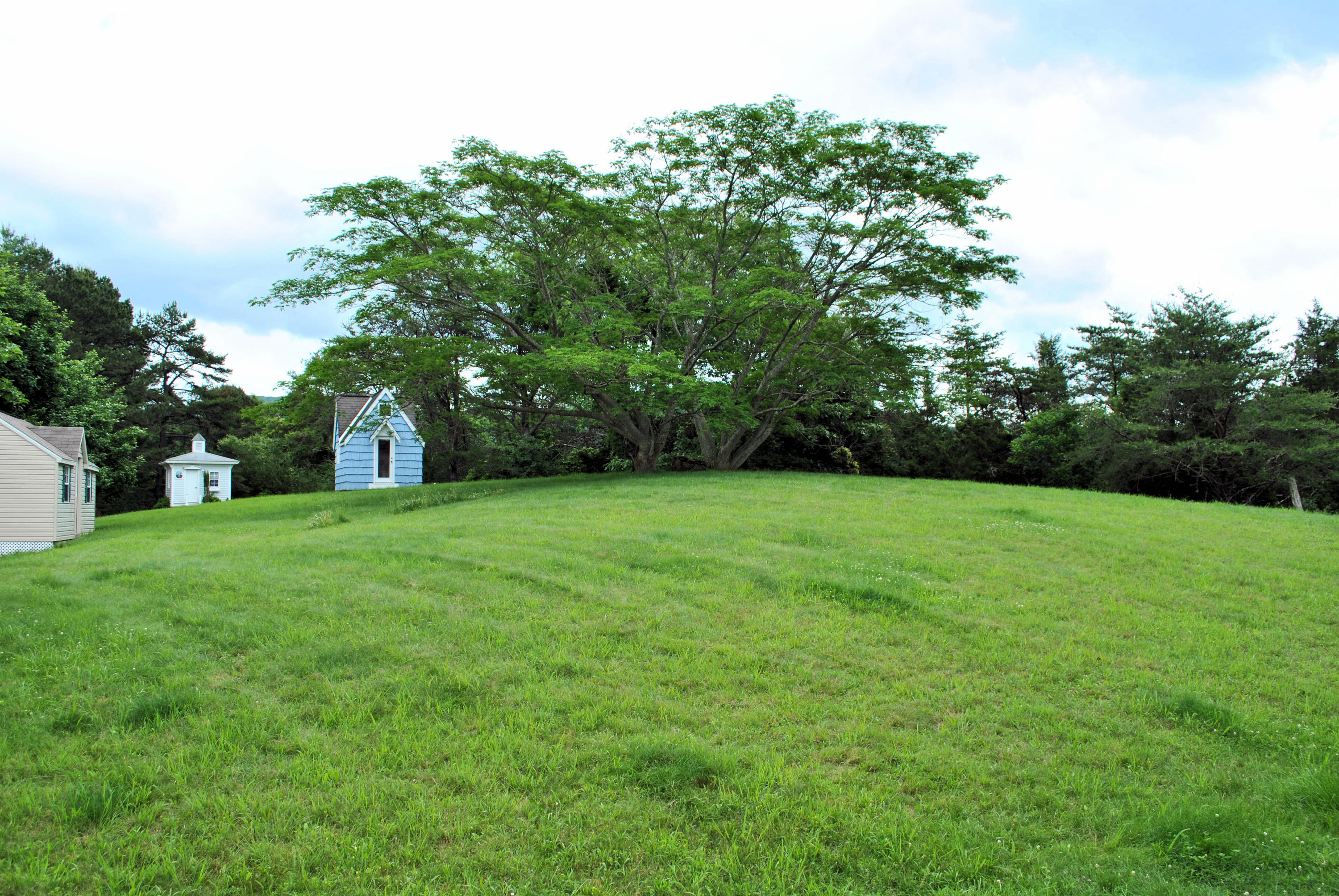 240 Fawn Lane Riner, VA 24149 - Photo 80 of 95 a view of a garden with a tree in the background