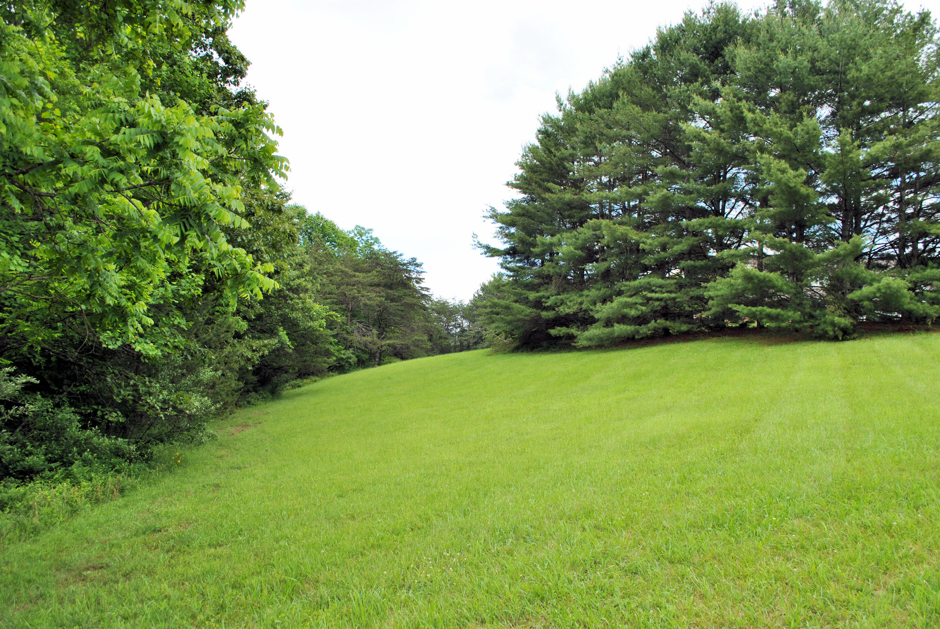 240 Fawn Lane Riner, VA 24149 - Photo 90 of 95 Room To Run