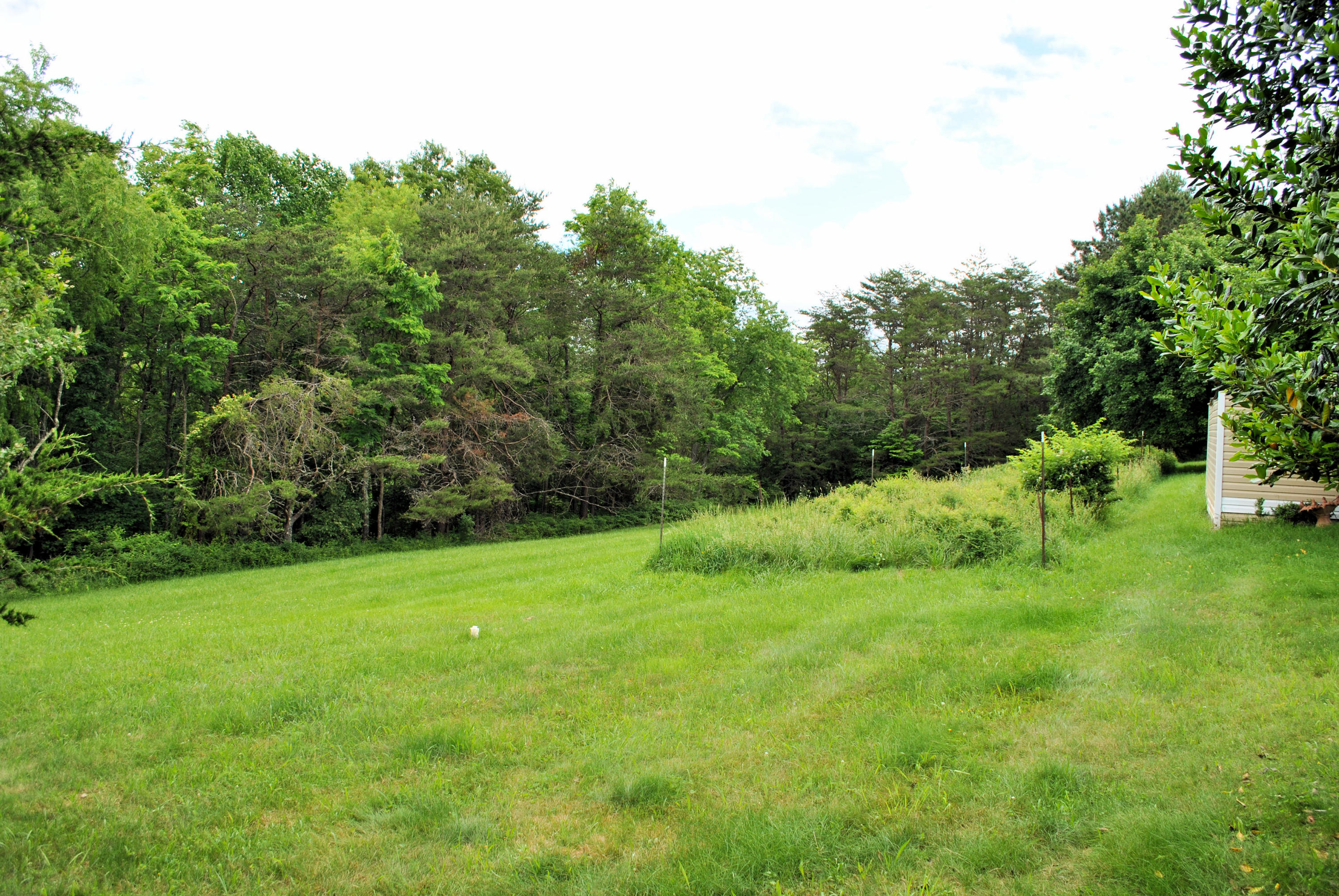 240 Fawn Lane Riner, VA 24149 - Photo 91 of 95 a view of an outdoor space and a yard