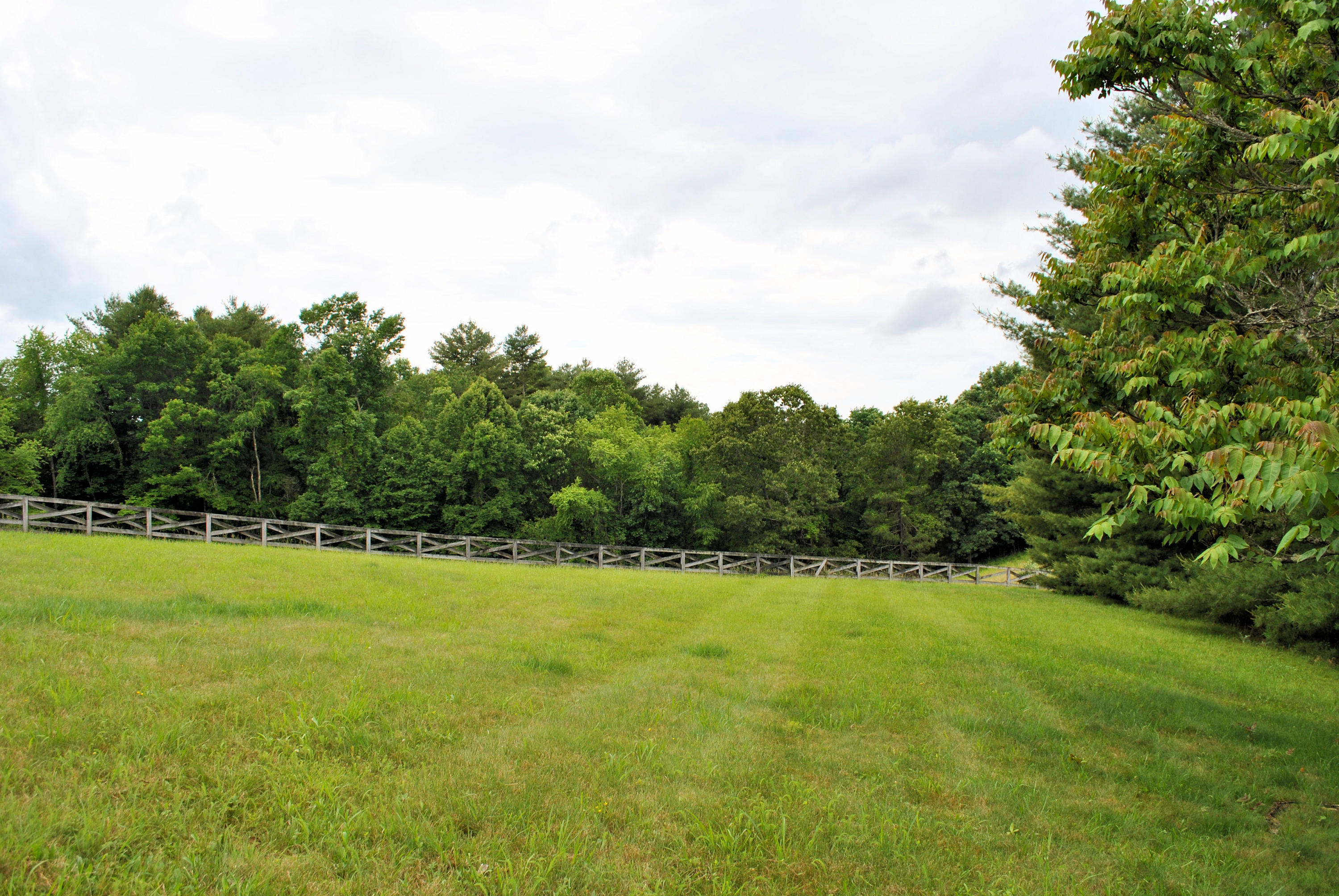 240 Fawn Lane Riner, VA 24149 - Photo 92 of 95 a view of a field with a trees in the background