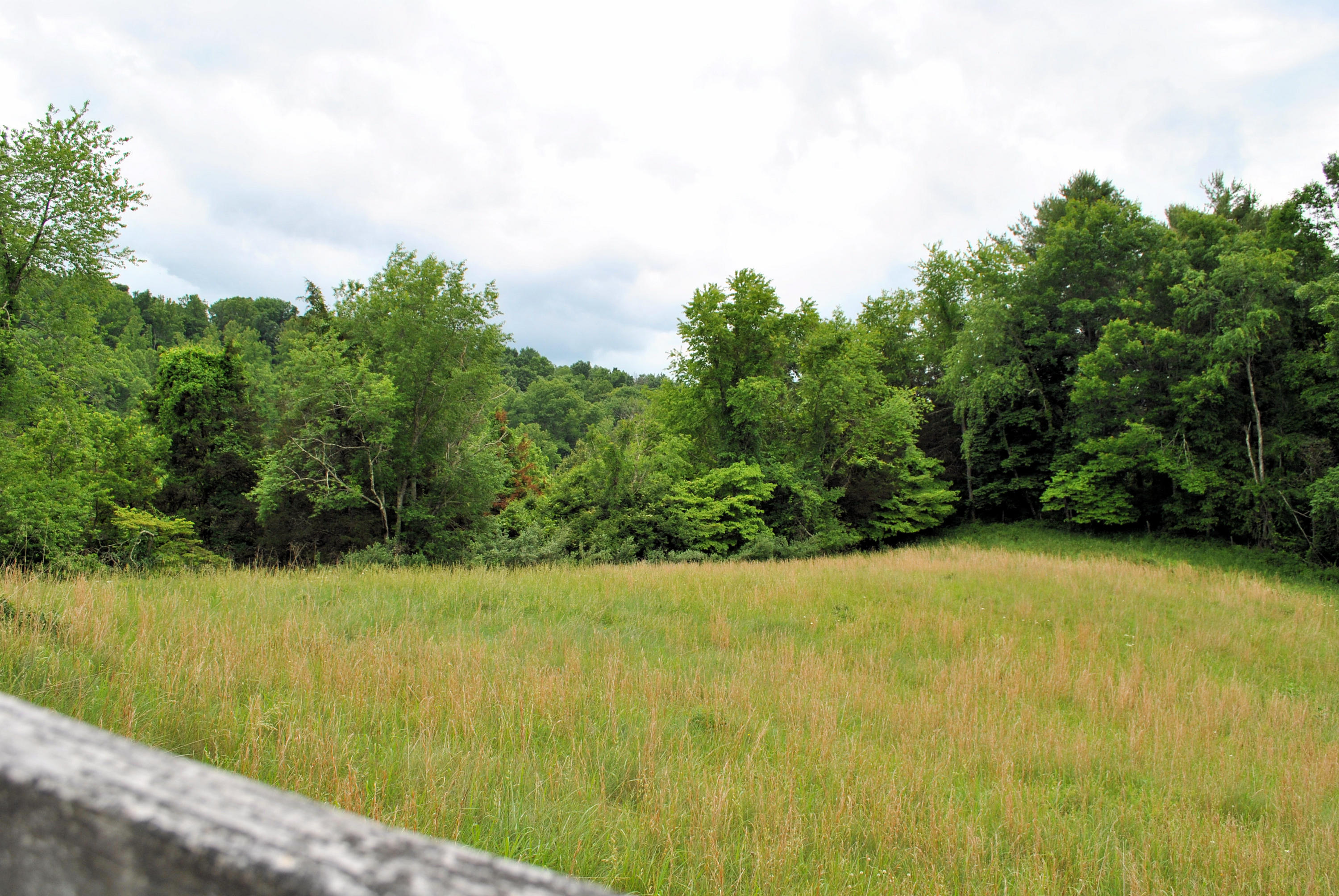 240 Fawn Lane Riner, VA 24149 - Photo 93 of 95 Fenced Pasture