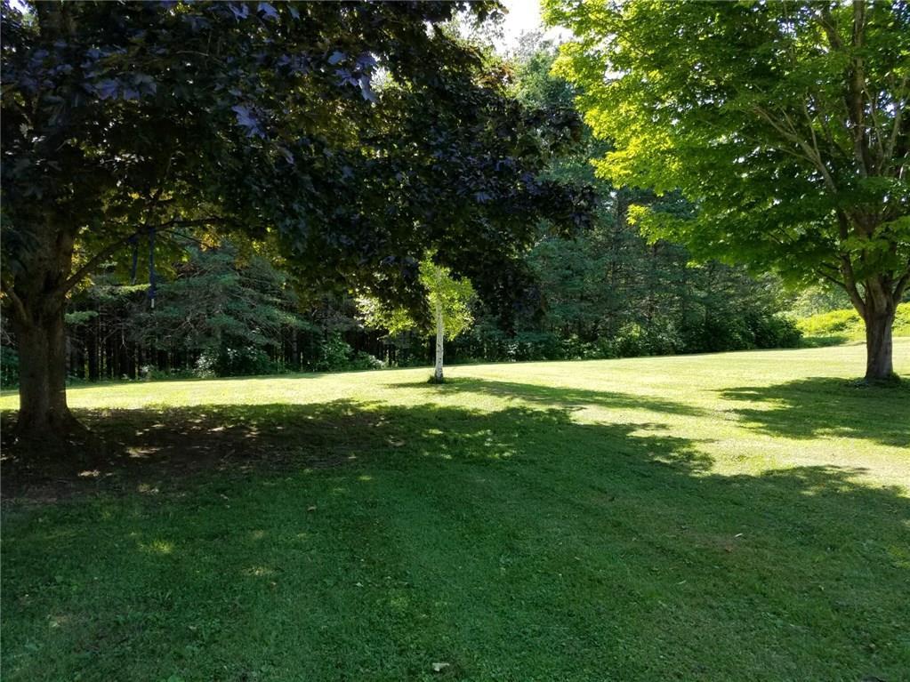 7 Masonic Road Dixmont, ME 04932 - Photo 17 of 28 Mature Shade Trees Dot the Property