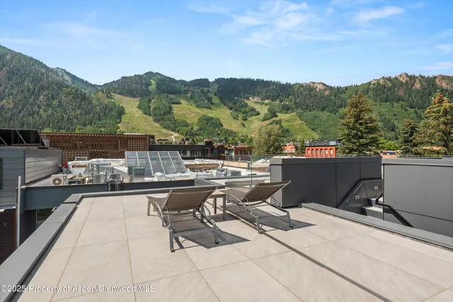 a view of a terrace with couches and a potted plant