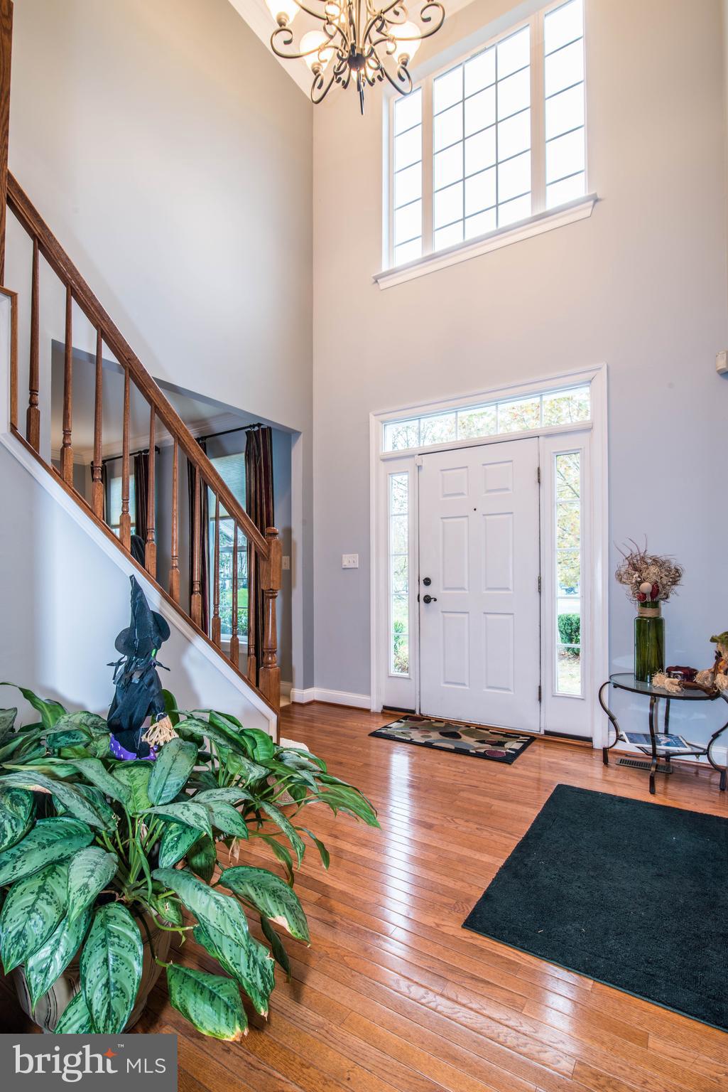613 Sand Road Severn, MD 21144 - Photo 5 of 57 Foyer