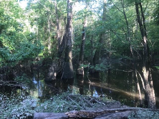 27645 Mill Creek Road Bush, LA 70431 - Photo 8 of 31 Gallery Image 8