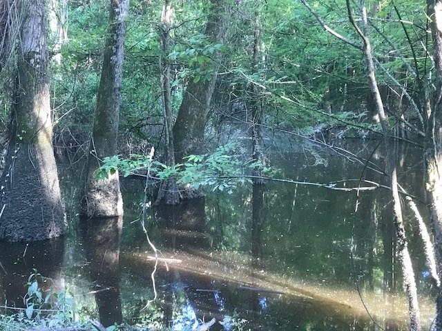 27645 Mill Creek Road Bush, LA 70431 - Photo 9 of 31 Gallery Image 9
