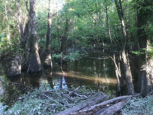 27645 Mill Creek Road Bush, LA 70431 - Photo 10 of 31 Gallery Image 10