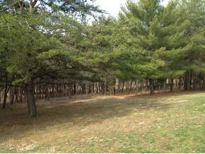 3577 West Cockrell Road Bloomington, IN 47403 - Photo 18 of 24 Gallery Image 18