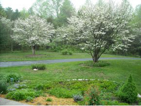 3577 West Cockrell Road Bloomington, IN 47403 - Photo 22 of 24 Gallery Image 22
