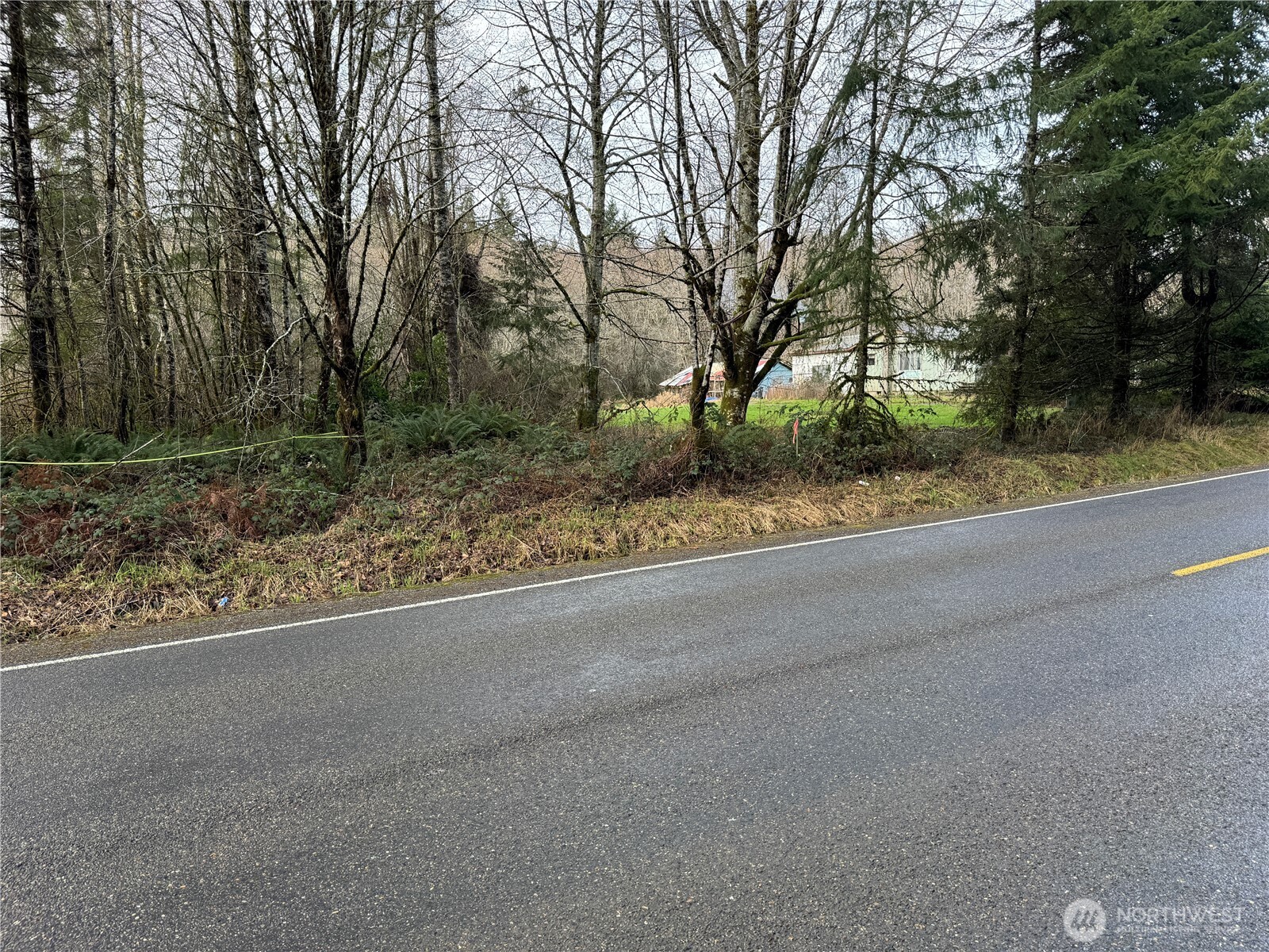 a view of a road with a trees in the background
