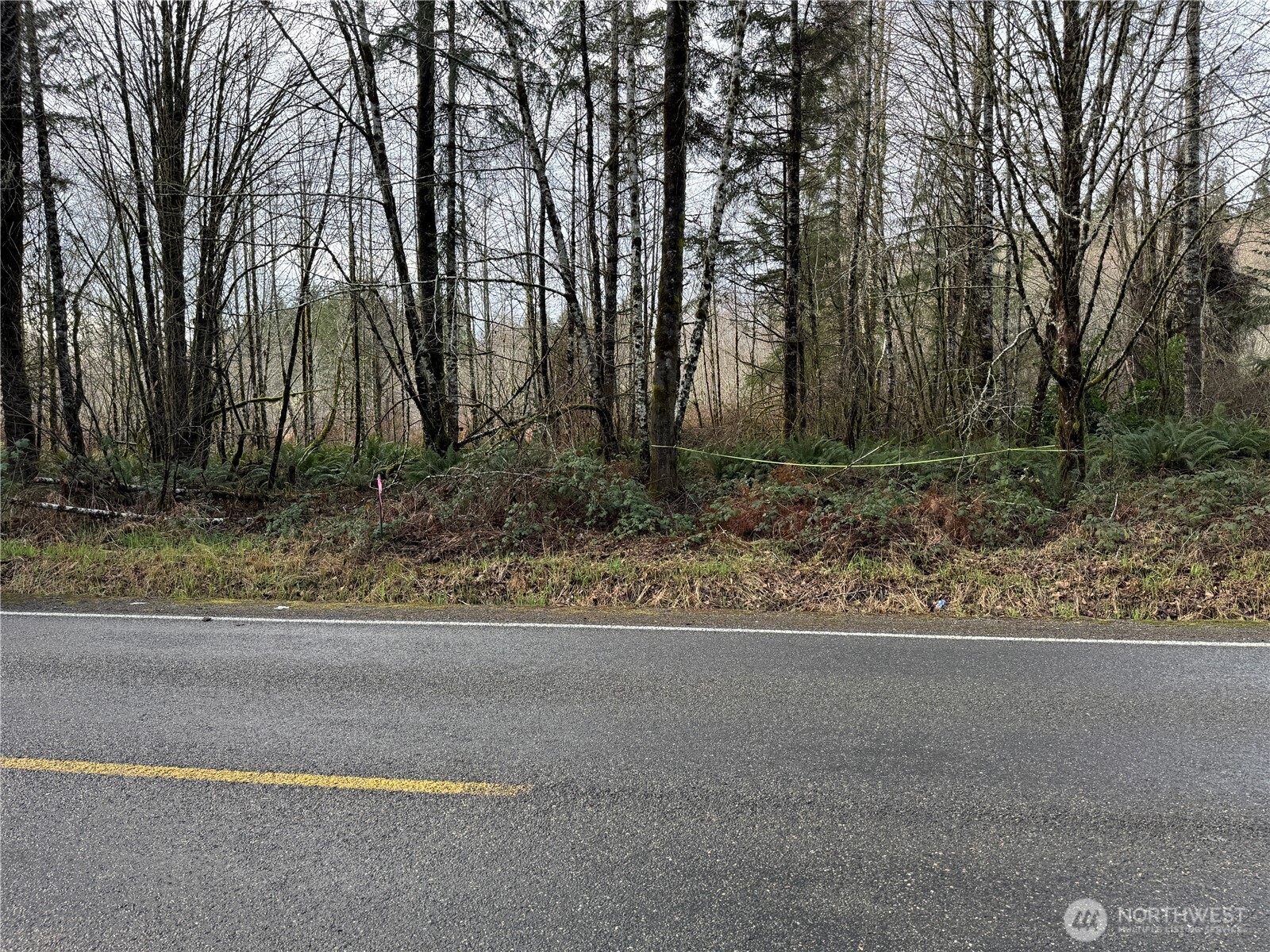 1359 Mox Chehalis Road McCleary, WA 98557 - Photo 2 of 5 a backyard of a house with lots of green space