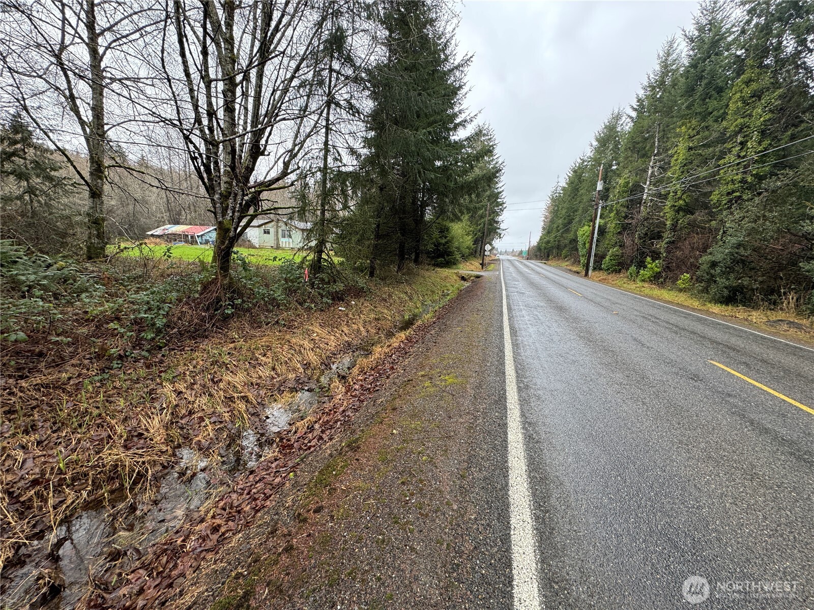 1359 Mox Chehalis Road McCleary, WA 98557 - Photo 4 of 5 a view of a yard with plants and trees
