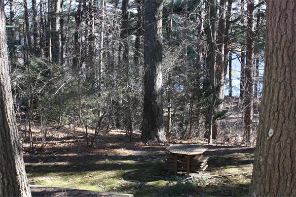 42 Bay View Road Wellesley, MA 02482 - Photo 7 of 9 Gallery Image 7