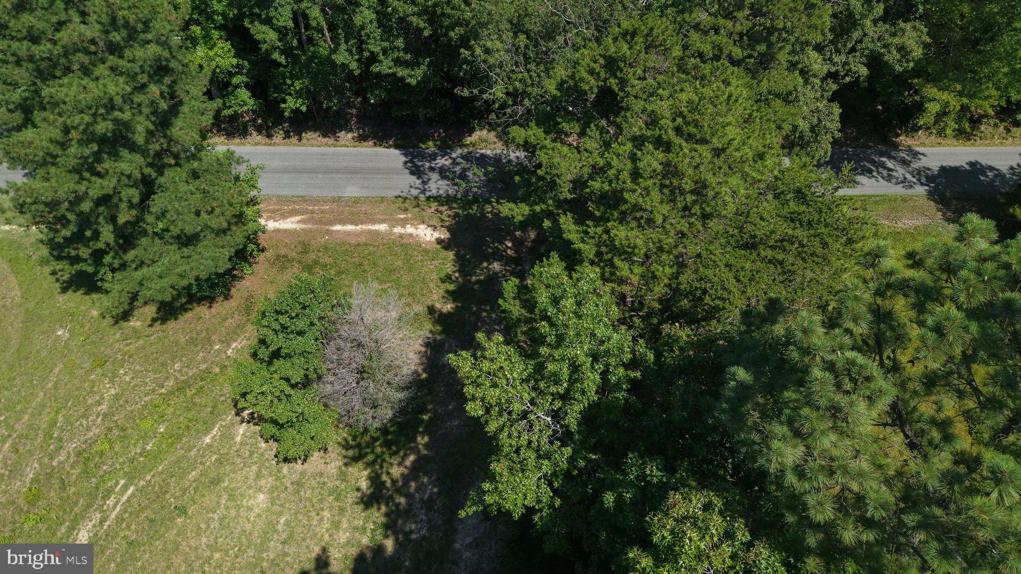 512 Mountain Hall Road Crewe, VA 23930 - Photo 22 of 50