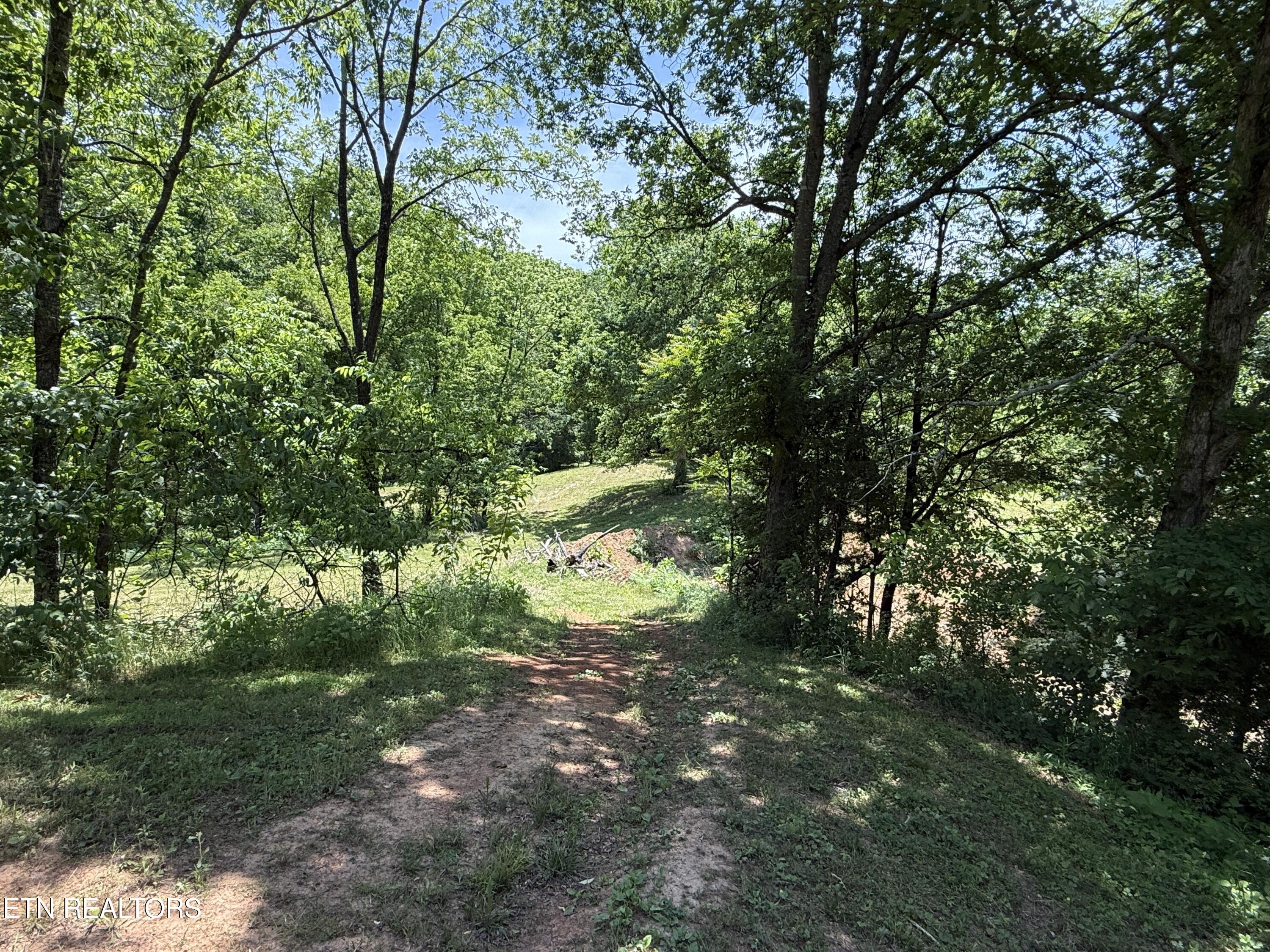 Richland Road Blaine, TN 37709 - Photo 16 of 25 IMG_5460