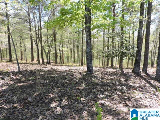 100 County Road, Unit 3 Lineville, AL 36266 - Photo 1 of 2