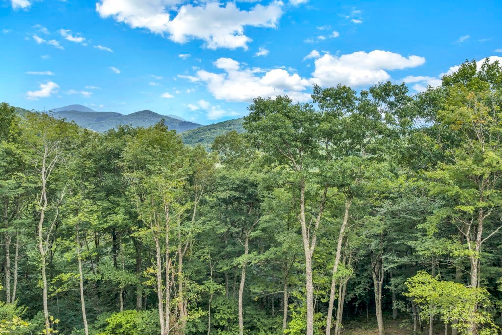 Saddle Road Vilas, NC 28692 - Photo 25 of 34 Gallery Image 25