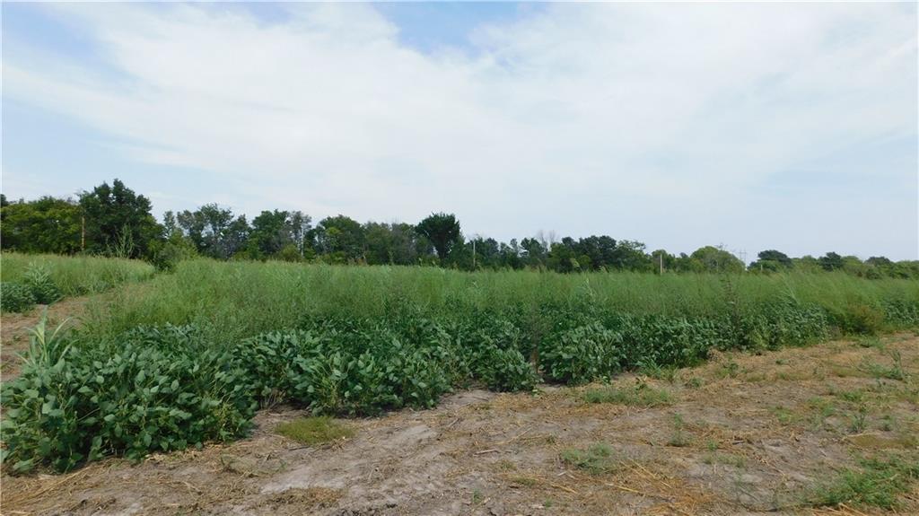 1171 Lot 4 Road Holden, MO 64040 - Photo 2 of 22