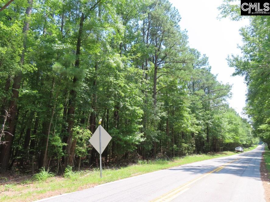 0 Park Road Ridgeway, SC 29130 - Photo 8 of 47