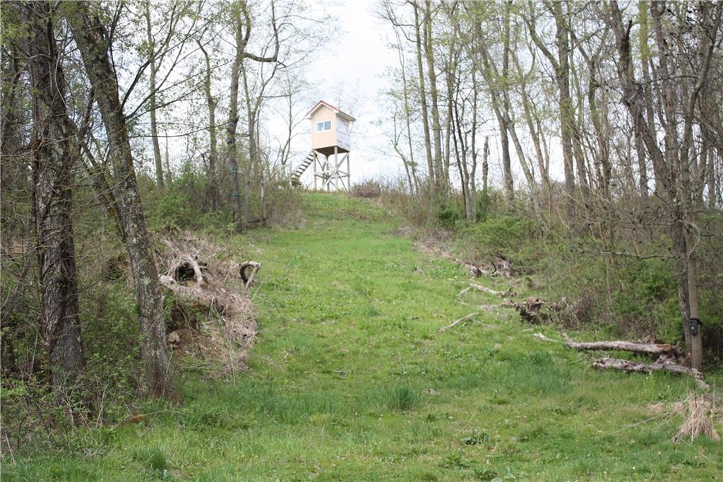 780 Turkey Knob Road Garards Fort, PA 15338 - Photo 19 of 24 Gallery Image 19