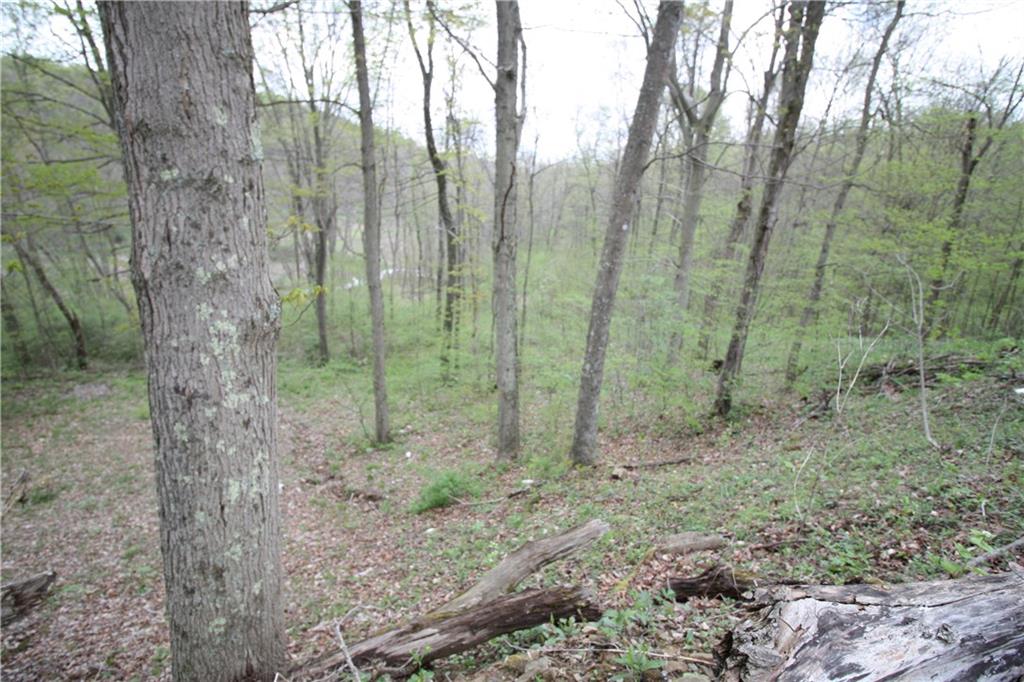 780 Turkey Knob Road Garards Fort, PA 15338 - Photo 24 of 24 Gallery Image 24