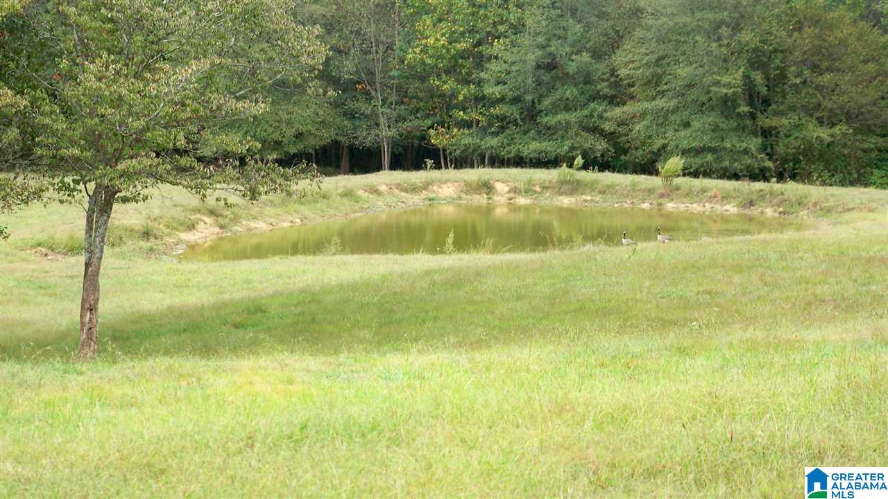 455 Bristow Creek Road Altoona, AL 35952 - Photo 2 of 21