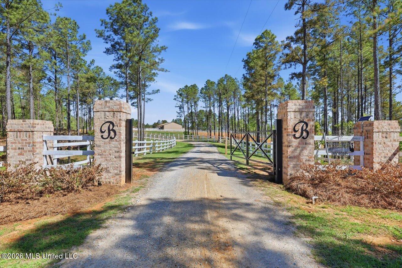 333 Beaverdam Road Camden, MS 39045 - Photo 1 of 93 01-333 Beaverdam Rd _ Home Tours MS