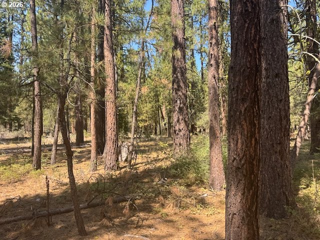 Whitetail Lane Sprague River, OR 97639 - Photo 22 of 27 Gallery Image 22
