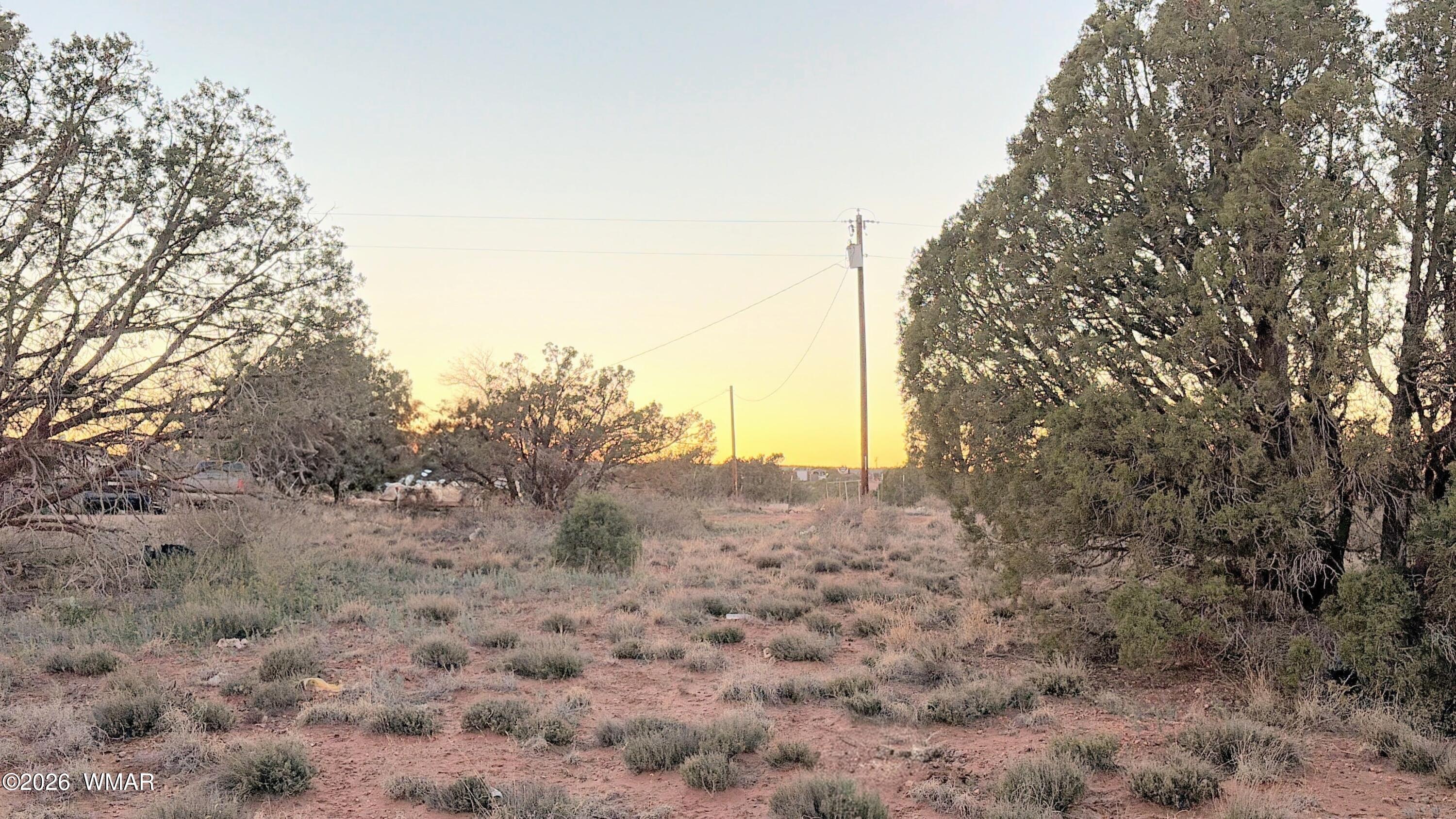 4427 Clydesdale Road Snowflake, AZ 85937 - Photo 12 of 16 a view of a dry yard with lots of bushes