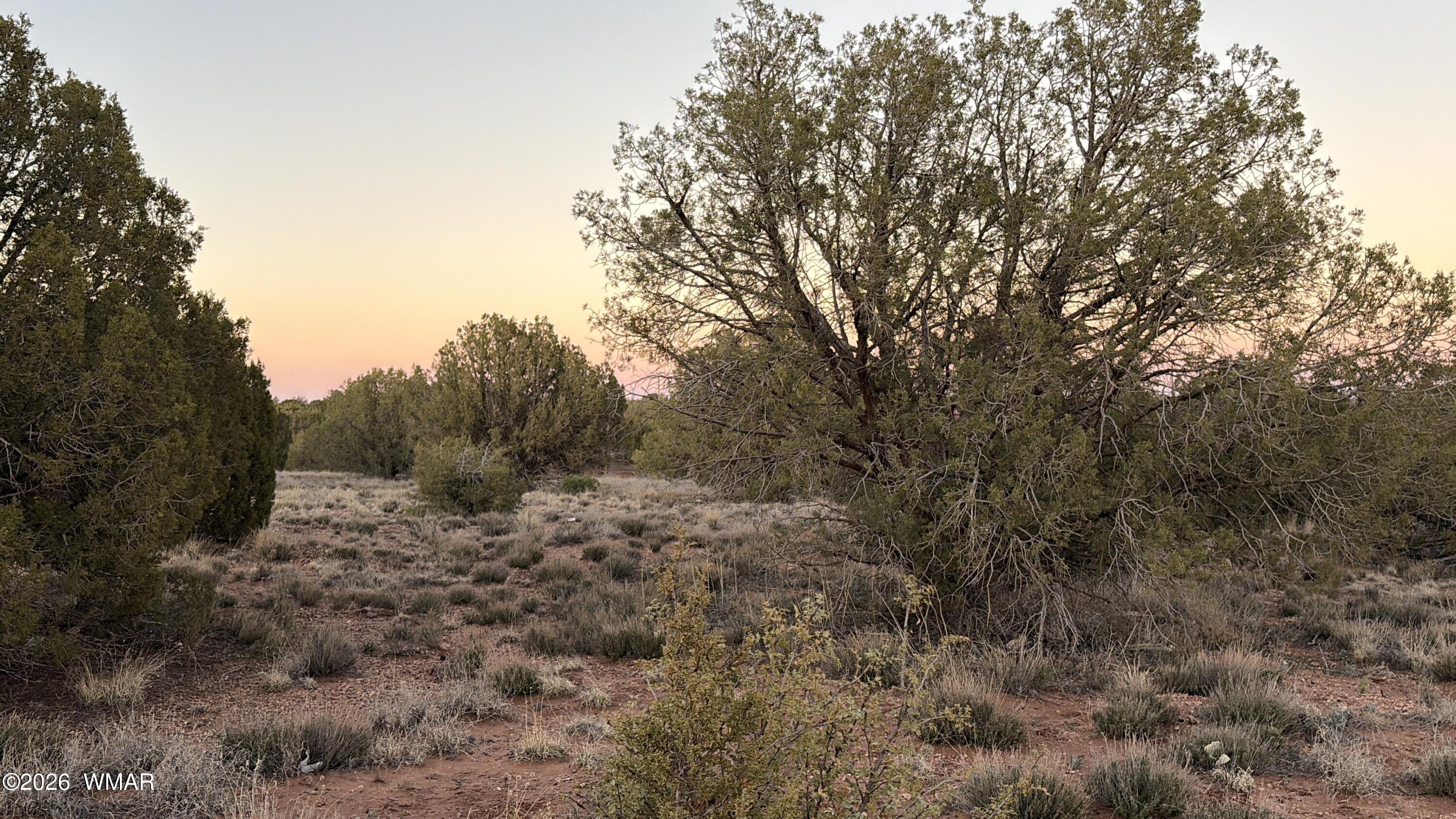 4427 Clydesdale Road Snowflake, AZ 85937 - Photo 13 of 16 a view of a dry yard