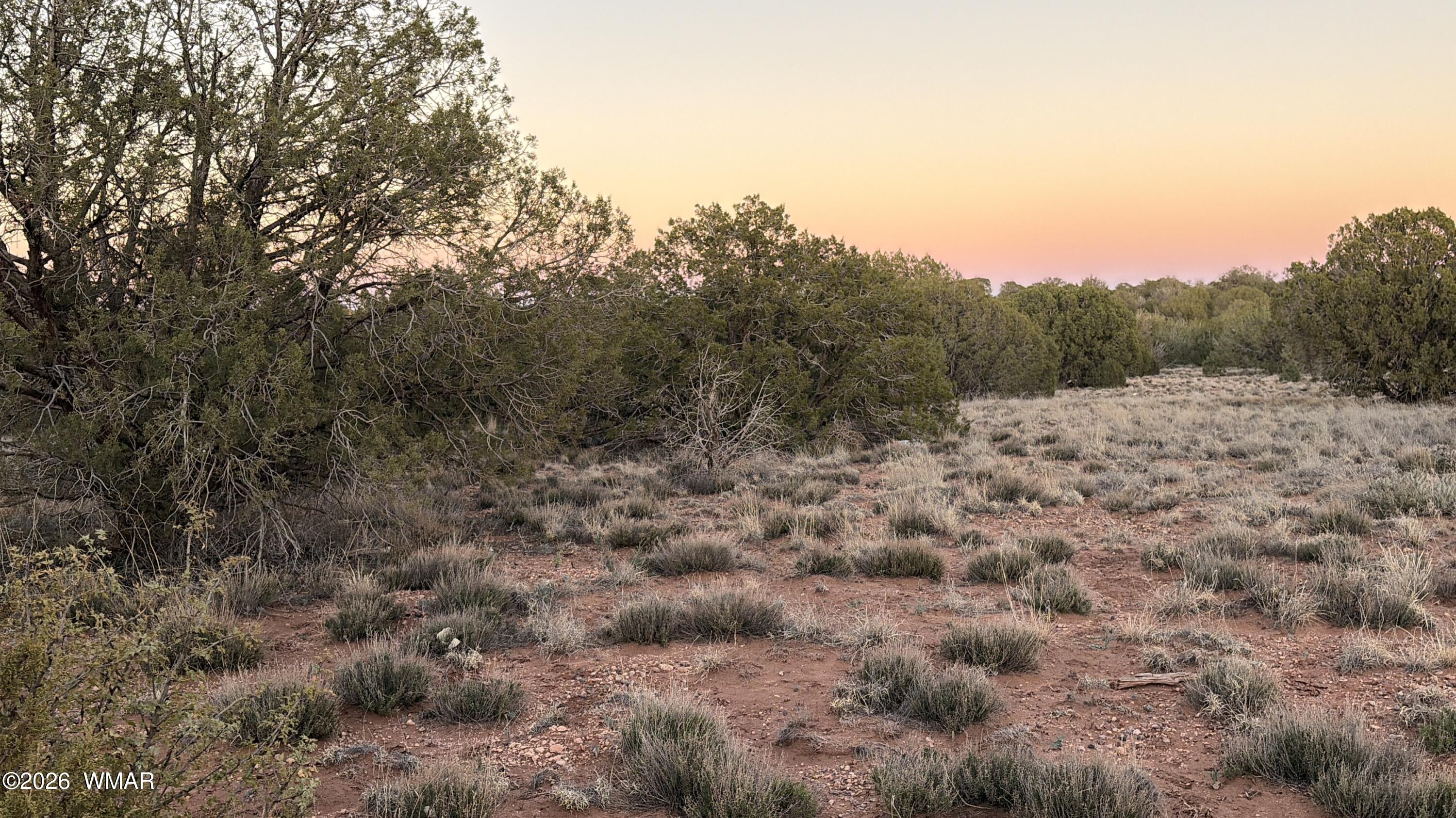 4427 Clydesdale Road Snowflake, AZ 85937 - Photo 14 of 16 a view of a covered with trees in the background