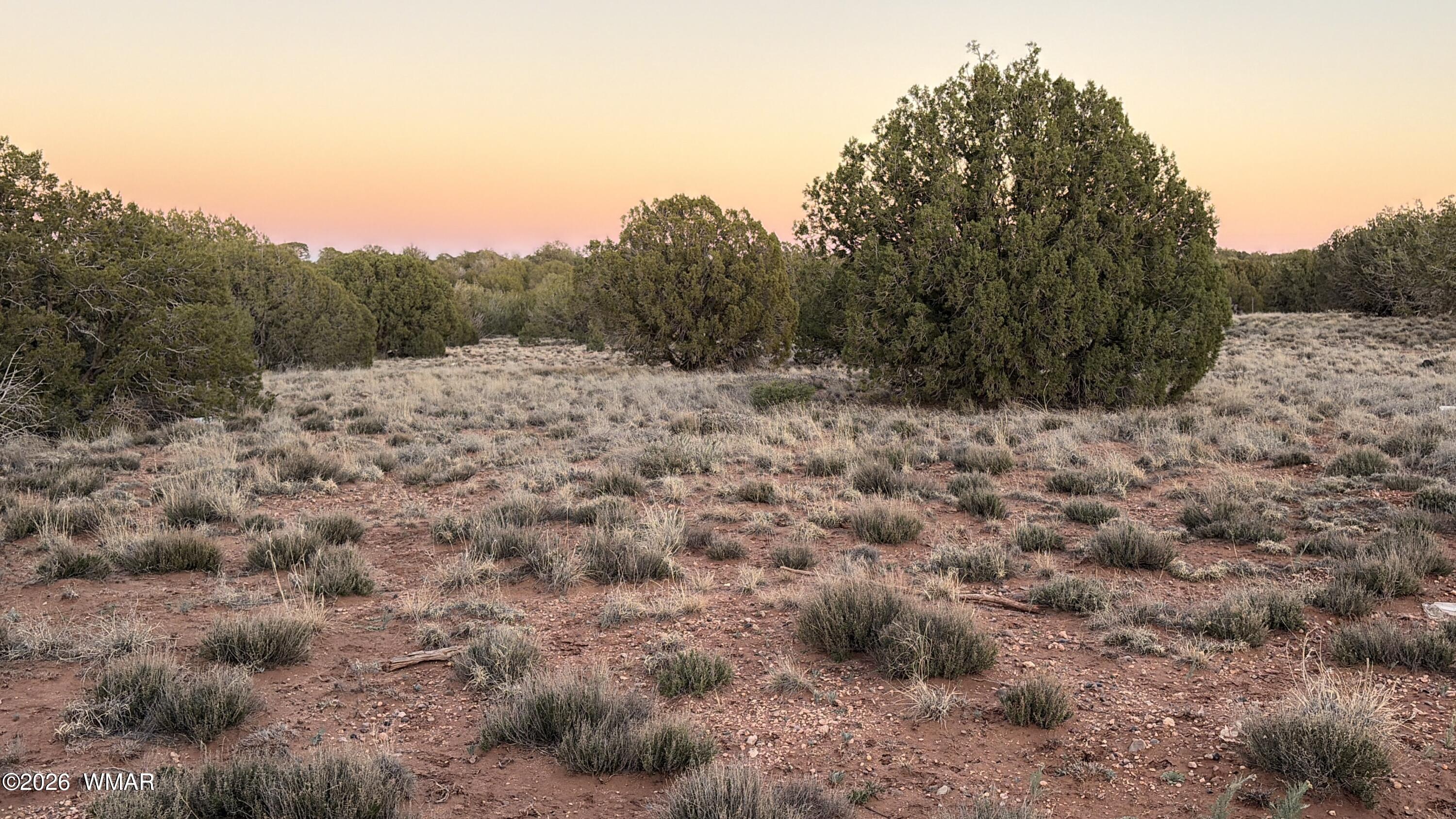 4427 Clydesdale Road Snowflake, AZ 85937 - Photo 15 of 16 a view of a dry yard